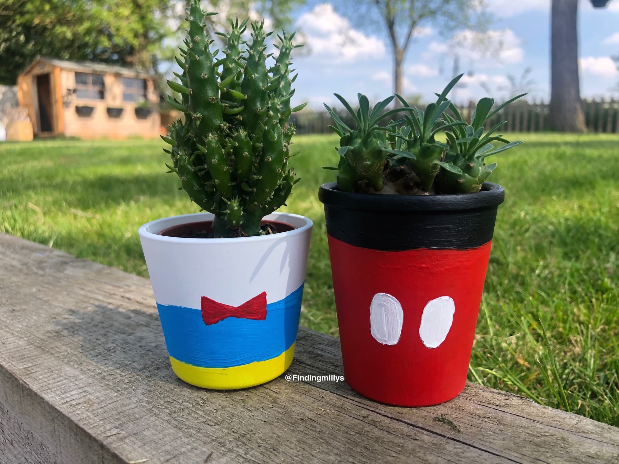 DIY Disney Plant Pots